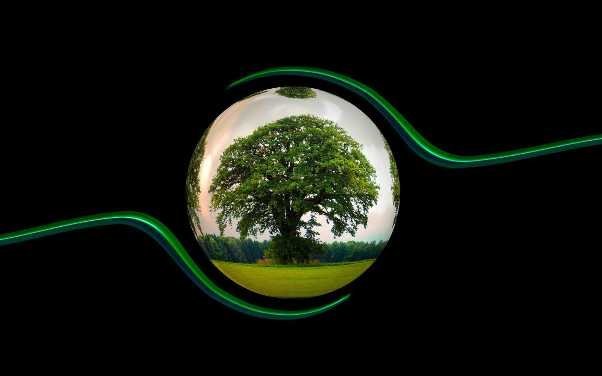 Eco-Friendly Travel