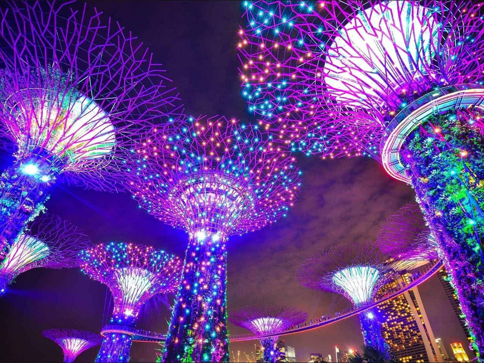 SuperTree Grove Lighting