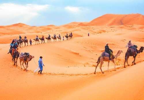 Camel-Desert-Safari-Morocco