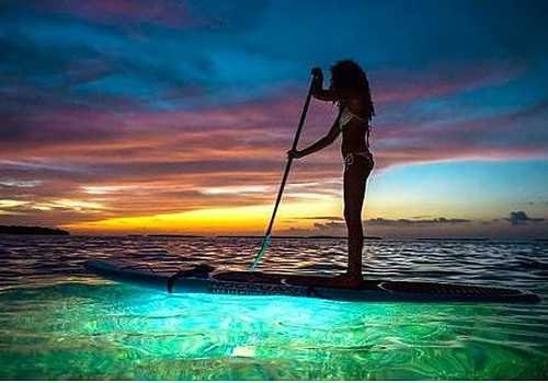 Woman On Paddle Board