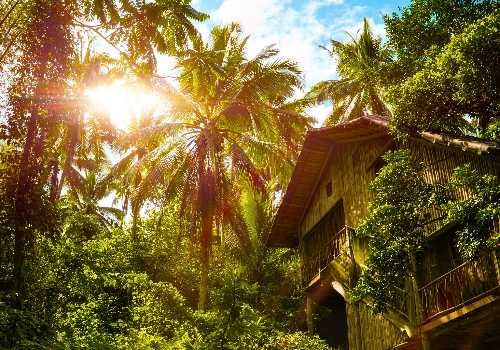 Treehouse-Tropical-Forest-Philippines