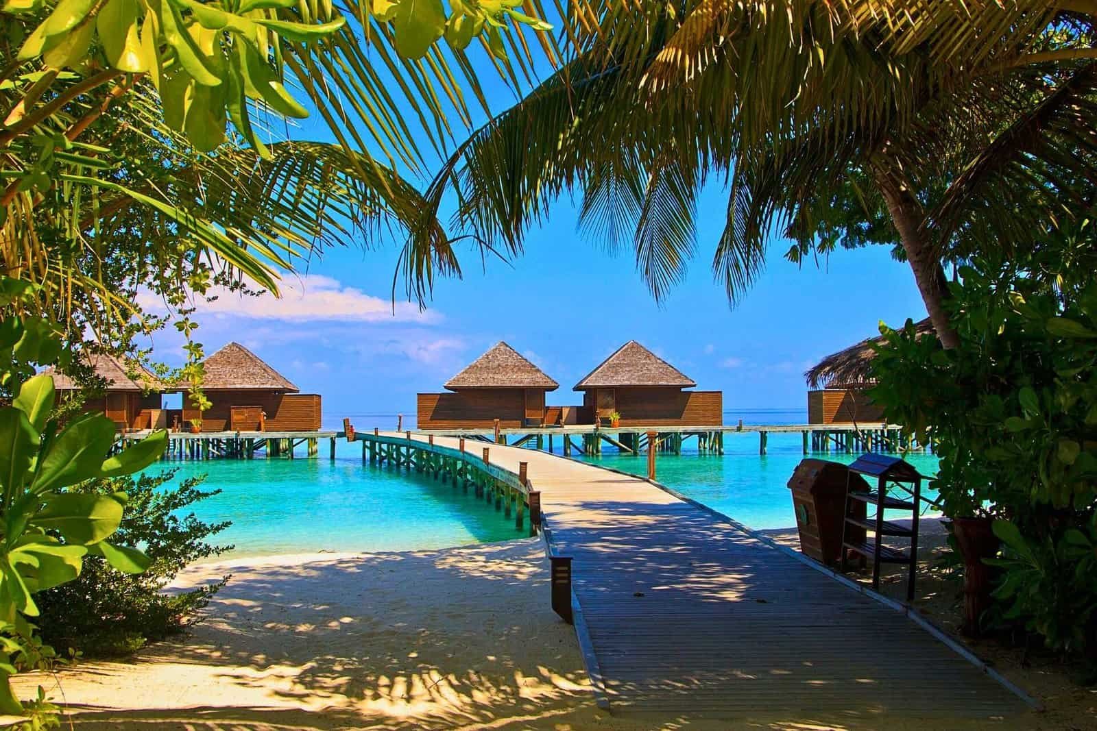 Maldives Bungalows