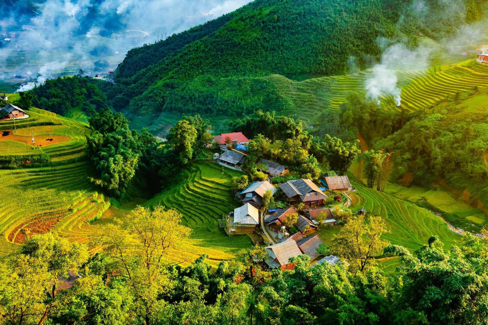 Rice Terrace - Vietnam