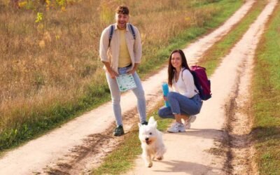 Pet Travel Guide: Going Abroad with Your Companions