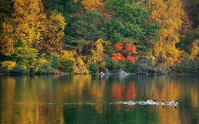 Enjoy the Outdoors on These Top Fall Hiking Trips